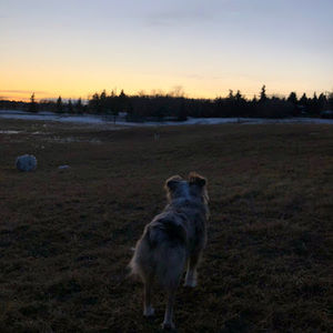 Meet your Posher, Ava